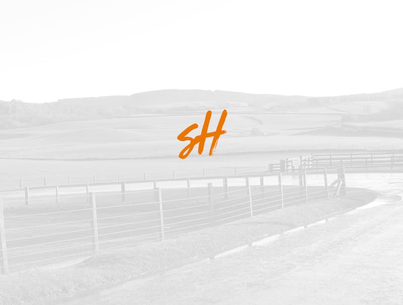 Ready Steady Christmas Gravy